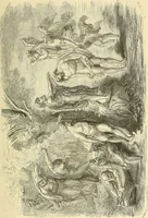 An illustration from Gazette des beaux-arts (1859)