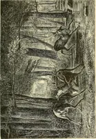An illustration from Gazette des beaux-arts (1859)