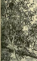 Picture 228 of 250 from Gazette des beaux-arts (1859), leaf 559