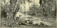 An illustration from Gazette des beaux-arts (1859)