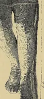An illustration from Gazette des beaux-arts (1859)