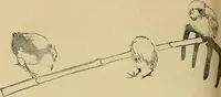 An illustration from Gazette des beaux-arts (1859)