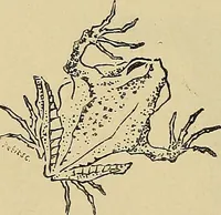 An illustration from Gazette des beaux-arts (1859)
