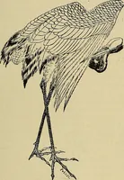 An illustration from Gazette des beaux-arts (1859)