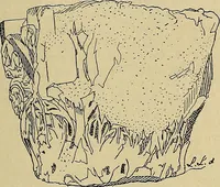 An illustration from Gazette des beaux-arts (1859)