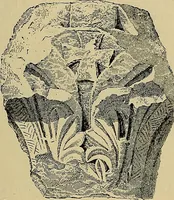 Picture 15 of 192 from Gazette des beaux-arts (1859), leaf 53