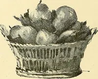 An illustration from Gazette des beaux-arts (1859)