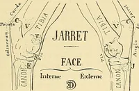 Picture 113 of 211 from Gazette des beaux-arts (1859), leaf 272
