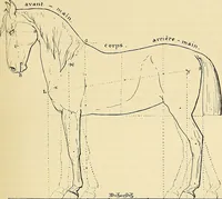 An illustration from Gazette des beaux-arts (1859)