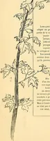 An illustration from Gazette des beaux-arts (1859)