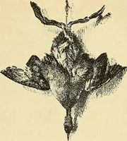 An illustration from Gazette des beaux-arts (1859)