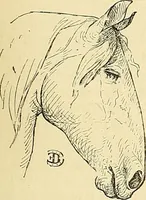 An illustration from Gazette des beaux-arts (1859)
