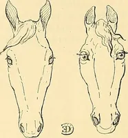 An illustration from Gazette des beaux-arts (1859)