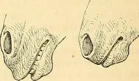 An illustration from Gazette des beaux-arts (1859)