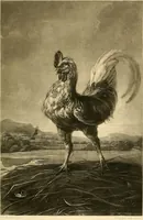 Picture 21 of 211 from Gazette des beaux-arts (1859), leaf 52