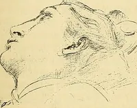 An illustration from Gazette des beaux-arts (1859)