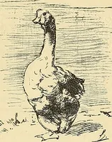 An illustration from Gazette des beaux-arts (1859)