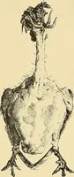 An illustration from Gazette des beaux-arts (1859)