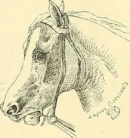An illustration from Gazette des beaux-arts (1859)