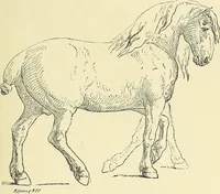An illustration from Gazette des beaux-arts (1859)