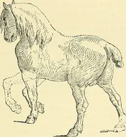 An illustration from Gazette des beaux-arts (1859)