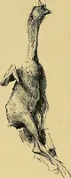 An illustration from Gazette des beaux-arts (1859)