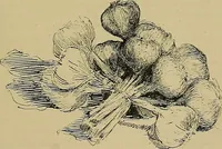 An illustration from Gazette des beaux-arts (1859)