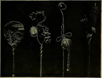 An illustration from Gazette des beaux-arts (1859)