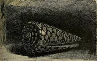 An illustration from Gazette des beaux-arts (1859)
