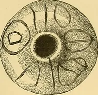 An illustration from Gazette des beaux-arts (1859)