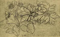 An illustration from Gazette des beaux-arts (1859)