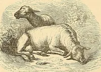 An illustration from Gazette des beaux-arts (1859)