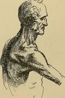 An illustration from Gazette des beaux-arts (1859)