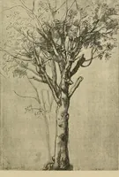 Picture 123 of 213 from Gazette des beaux-arts (1859), leaf 306