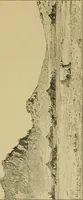 An illustration from Gazette des beaux-arts (1859)