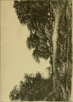 An illustration from Gazette des beaux-arts (1859)
