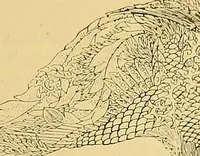 An illustration from Gazette des beaux-arts (1859)