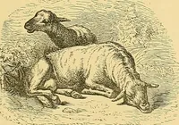 An illustration from Gazette des beaux-arts (1859)