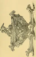 An illustration from Gazette des beaux-arts (1859)