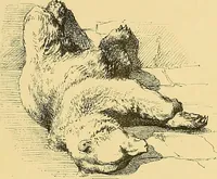 An illustration from Gazette des beaux-arts (1859)