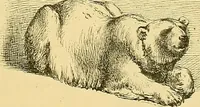 An illustration from Gazette des beaux-arts (1859)