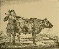 Picture 103 of 208 from Gazette des beaux-arts (1859), leaf 290