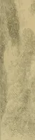 Picture 107 of 208 from Gazette des beaux-arts (1859), leaf 302