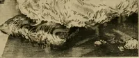 Picture 110 of 208 from Gazette des beaux-arts (1859), leaf 304