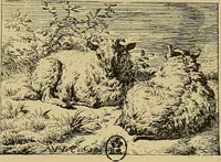 Picture 111 of 208 from Gazette des beaux-arts (1859), leaf 307