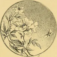 An illustration from Gazette des beaux-arts (1859)