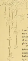 Picture 158 of 249 from Gazette des beaux-arts (1859), leaf 465