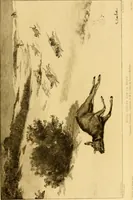 An illustration from Gazette des beaux-arts (1859)