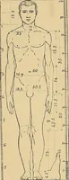 An illustration from Gazette des beaux-arts (1859)