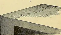 An illustration from Gear's illustrated catalogue of wood and iron working machinery (1872)